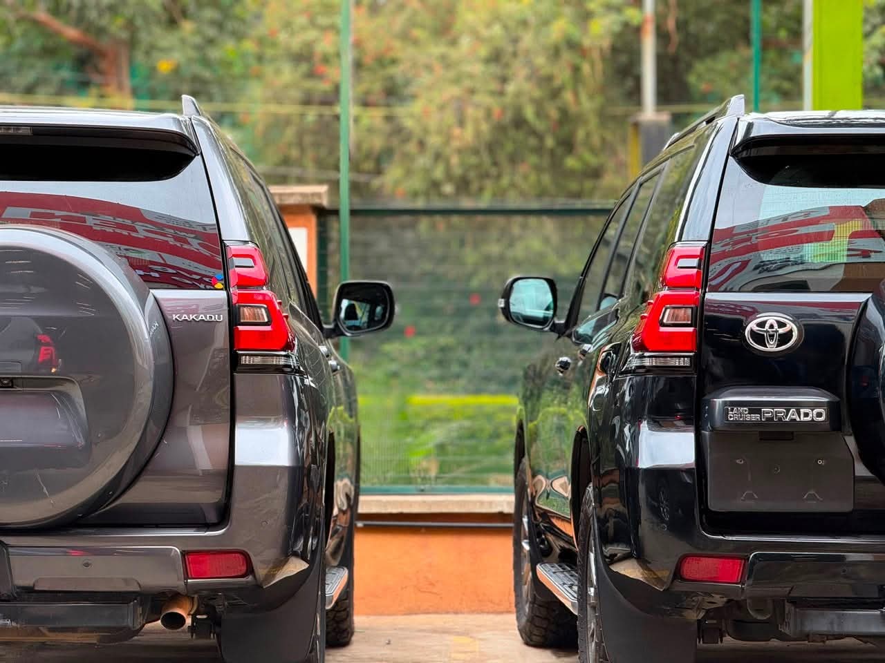 Land Cruiser Prado — Gorilla Trekking