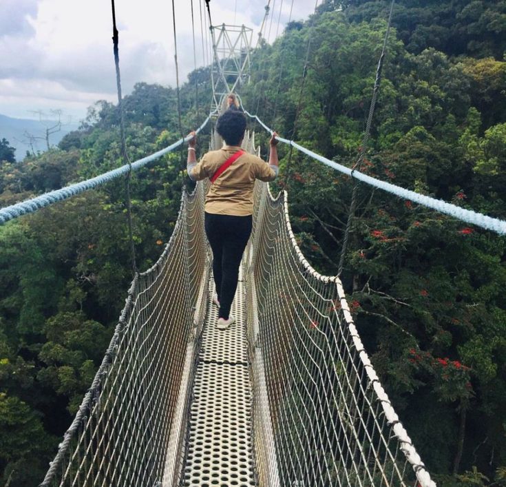 Nyungwe Forest National Park canopy walkway Rwanda