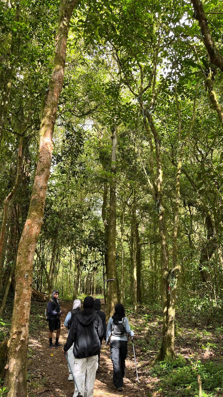Trekking gear for Nyungwe Forest
