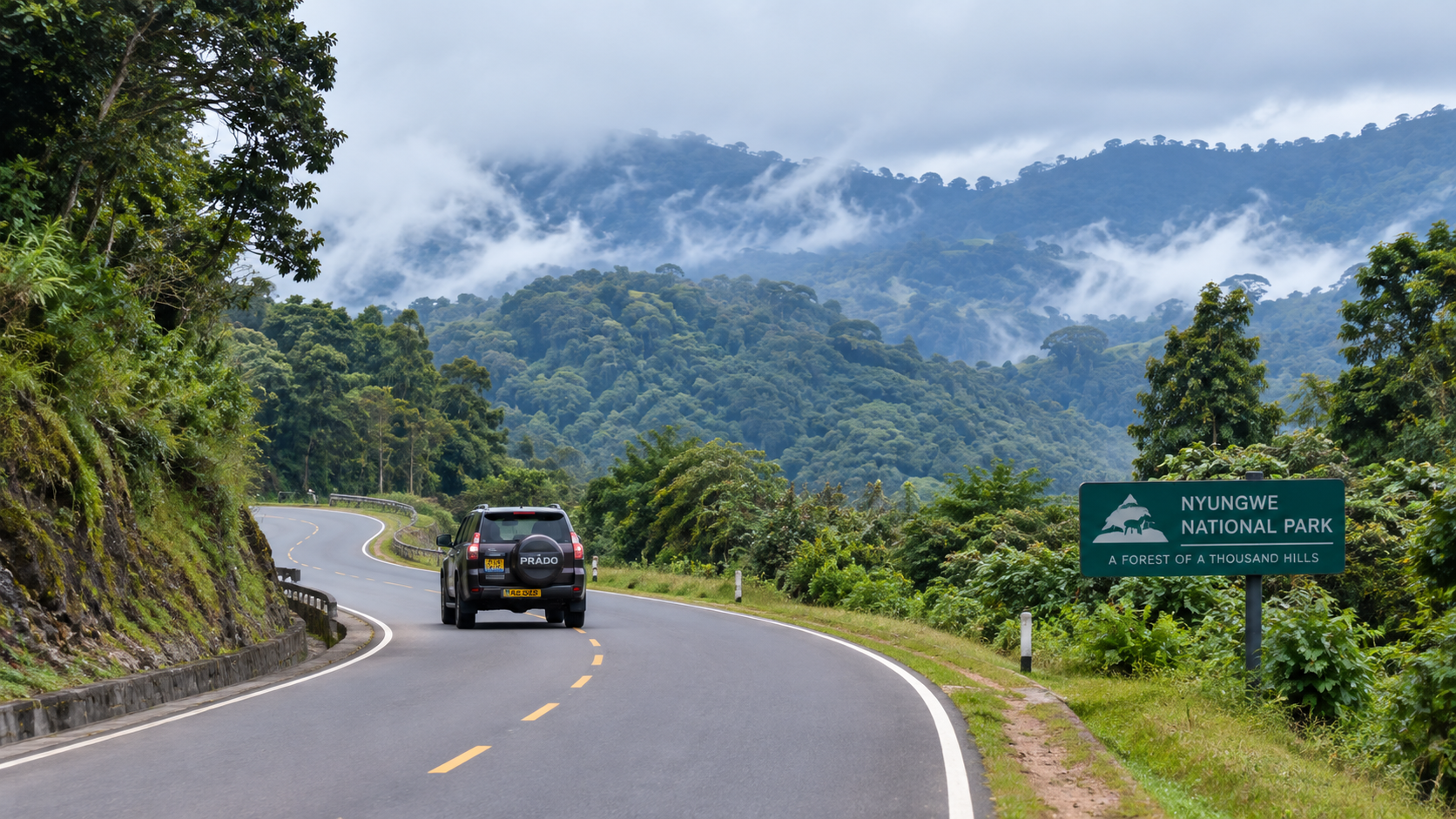 drive from Kigali to Nyungwe-Nyungwe National Park